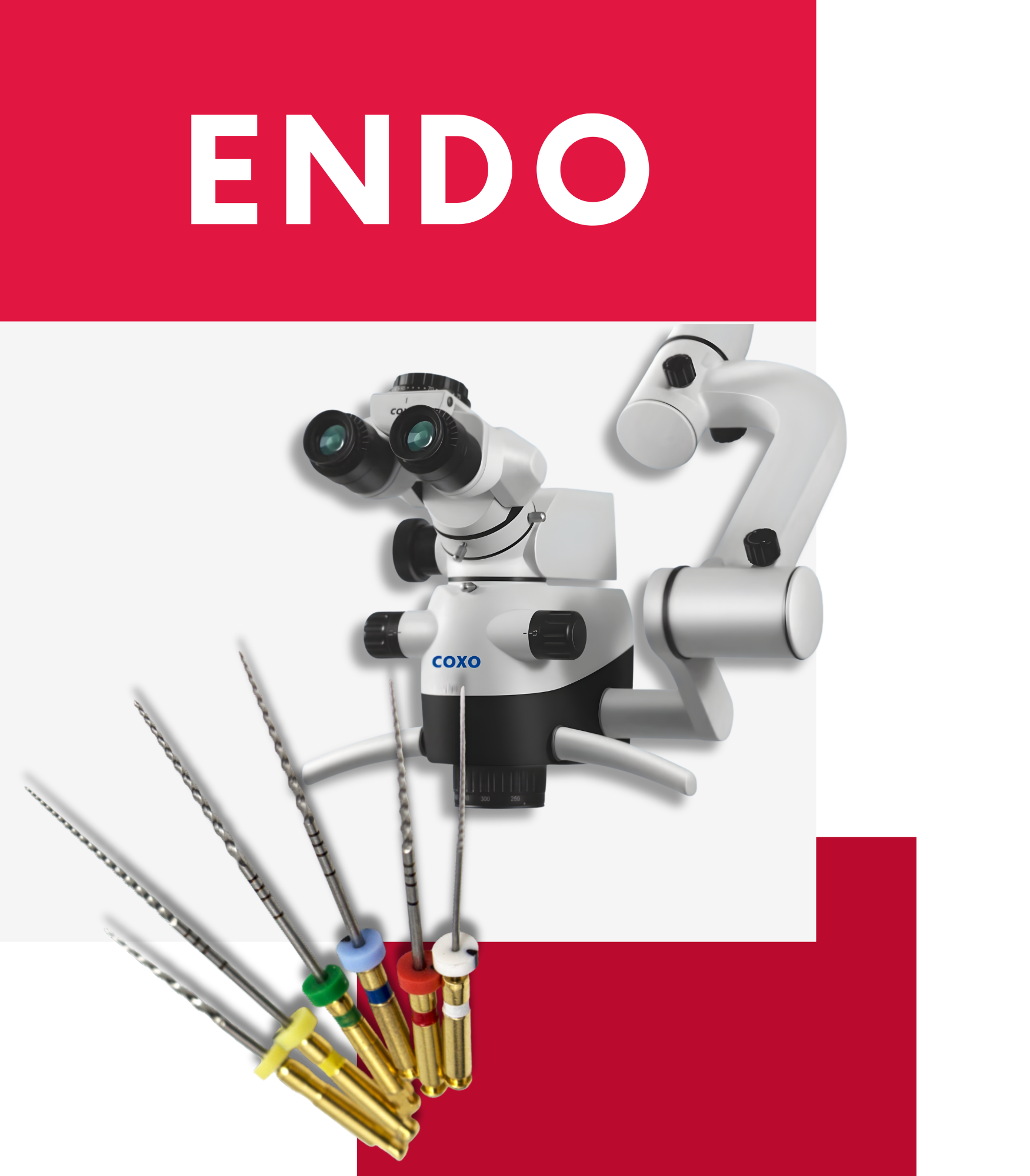 Endo