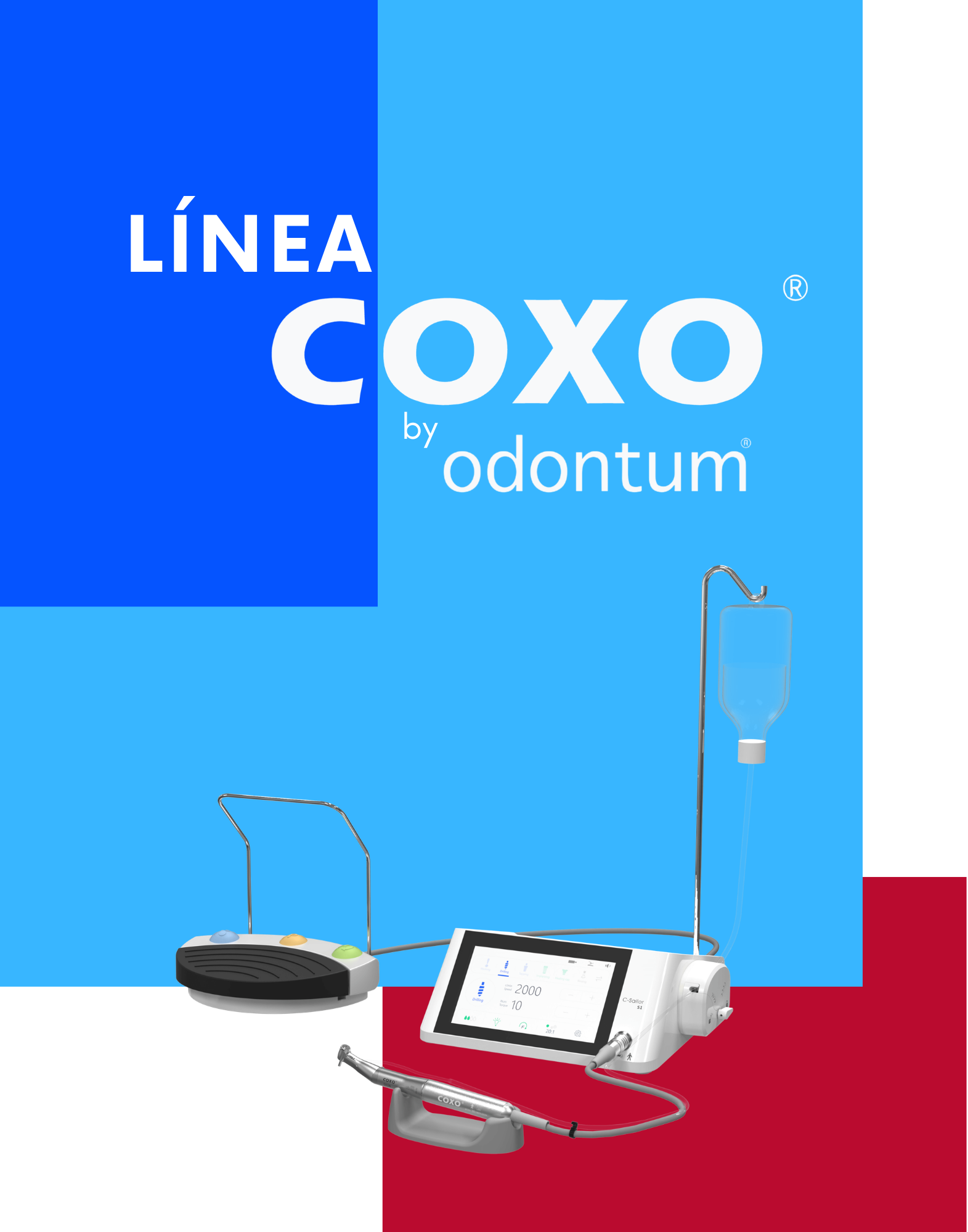 COXO